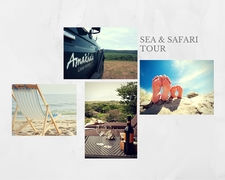 Sea & Safari Tour