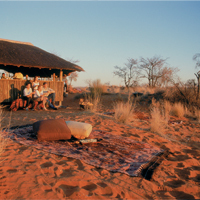 Lion Roars Experience Northern Cape Tourism Holiday Pod