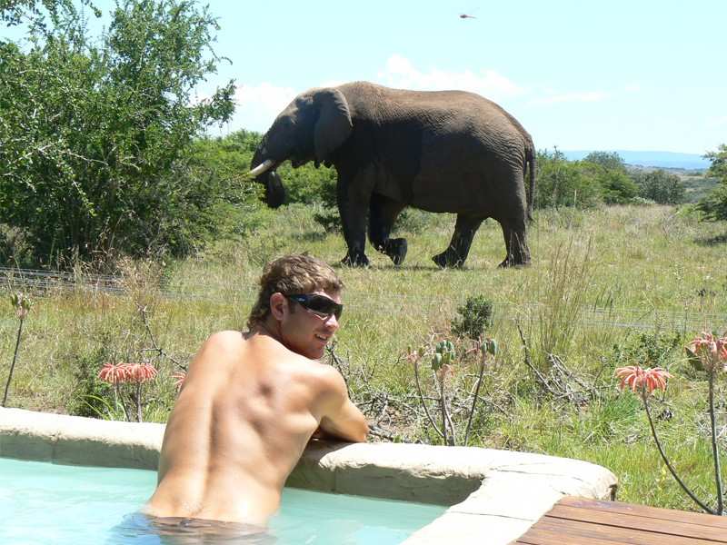 Eastern Cape Safari Greater Addo Accommodation Amakhala Game Reserve Bush Lodge Exterior Pool