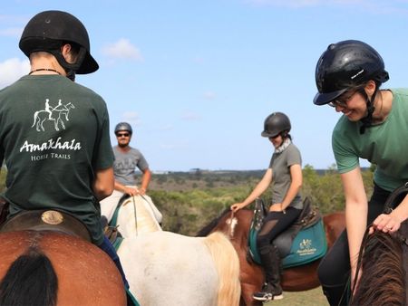 Lion Roars Hotels Safari Blog (2) Lion Roars Hotels Safari Blog (2)