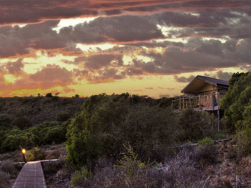 Amakhala Game Reserve Hillsnek Outside View