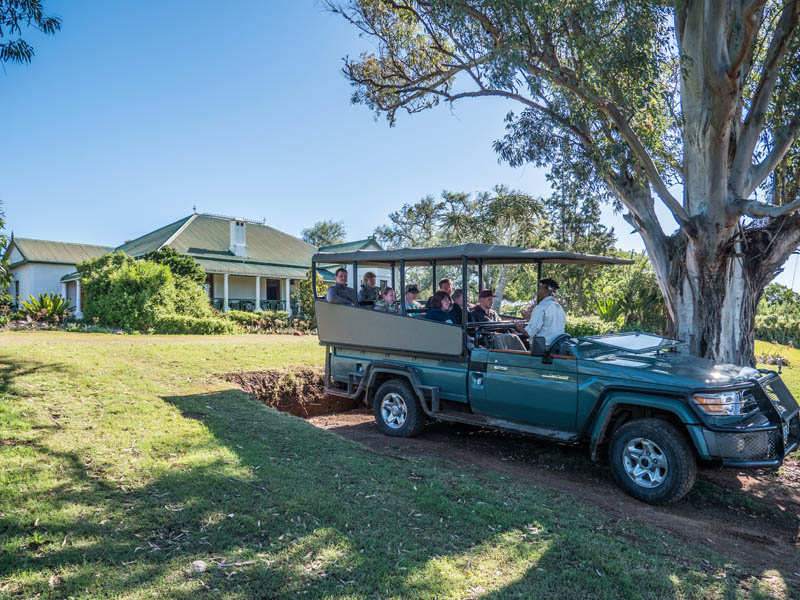 Amakhala Game Reserve Leeuwenbosch Country House Safari