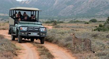 Big 5 Game Drives (6)