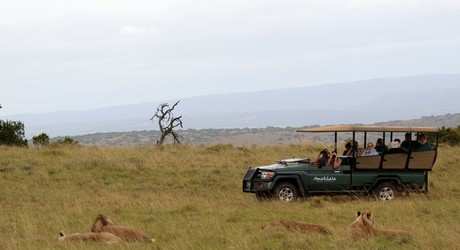 Big 5 Game Drives  (8)