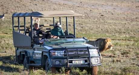 Amakhala Game Reserve