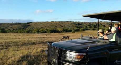 Big 5 Game Drives  (14)