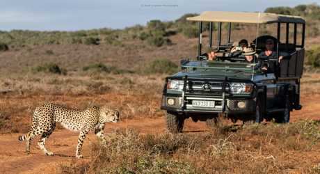 Amakhala Game Reserve7