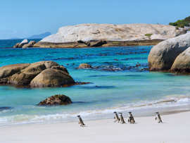 Cape & Safari Tours Accommodation Cape Town Sea