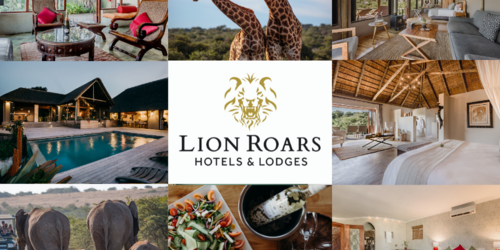 Lion Roars Packages & Tours