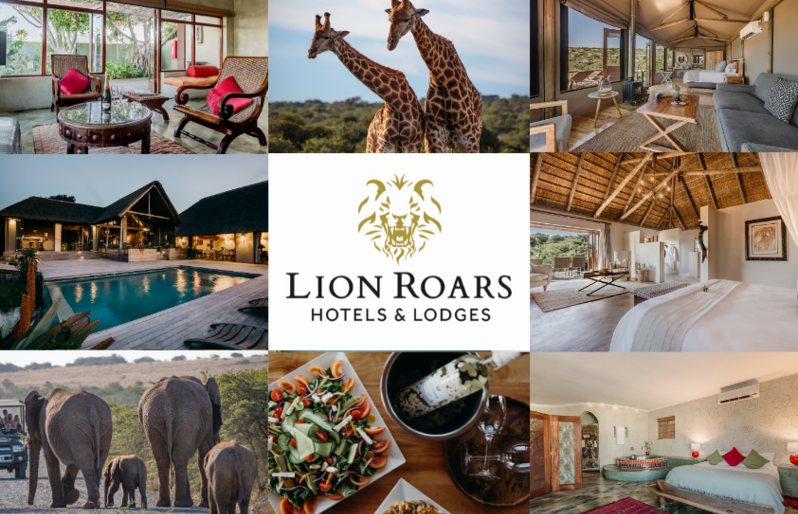 Lion Roars Packages & Tours