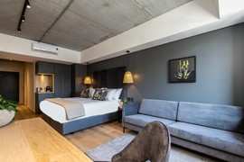 Kloof Street Hotel Lion Roars Hotels Luxury Suite (1)
