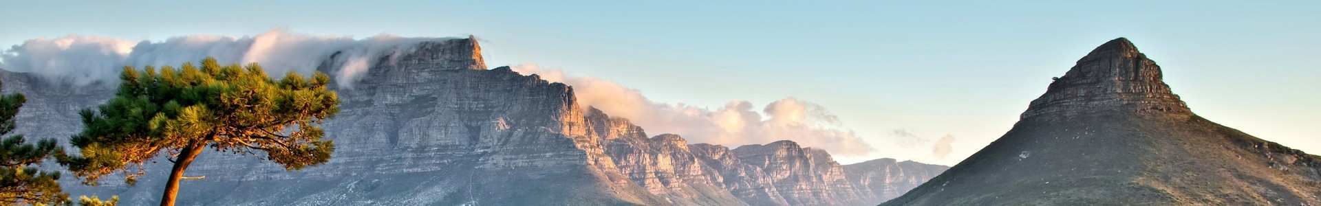 Lion Roars Hotels And Lodges Travel And Tourism Careers.