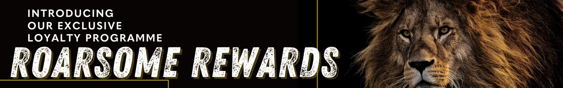 Roarsome Rewards Loyalty Programme Web Banner