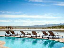 Buffelsdrift Game Lodge Accommodation In Oudtshoorn Swimming Pool 1