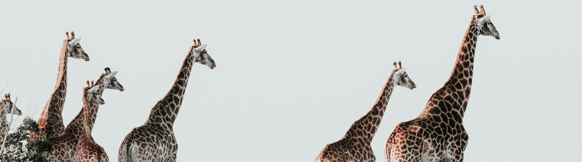 Slide background