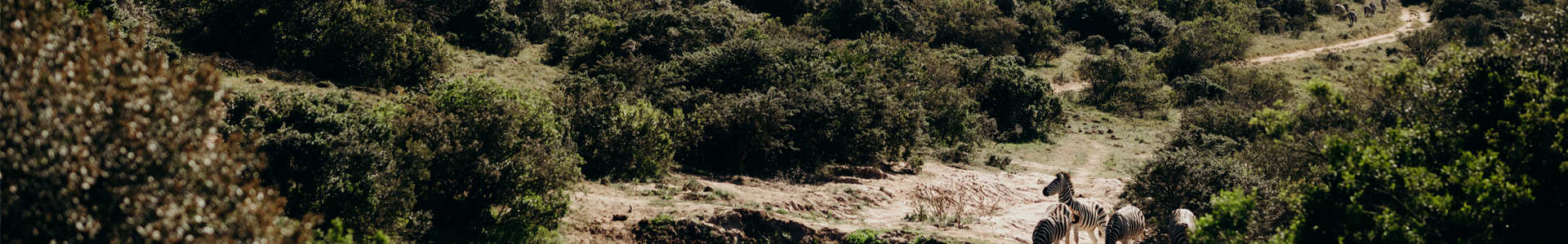Beauty Sa Has To Offer Accommodation South African Holiday